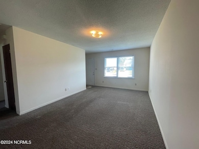 204 Appaloosa Dr, Jacksonville, NC 28540 - photo 3