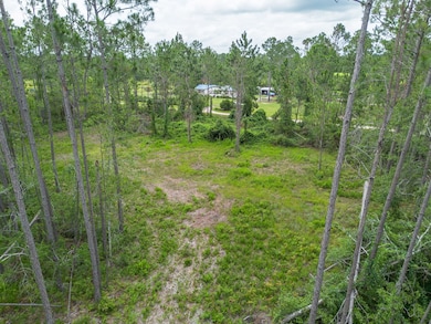 00 Willacoochee Hwy, Willacoochee, GA 31750 - photo 4