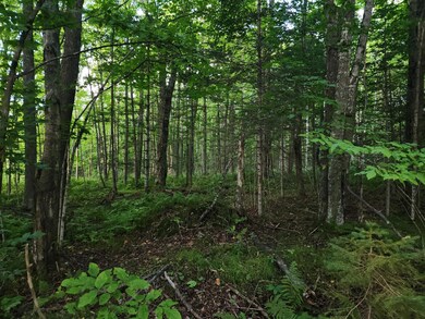 ON East Ln, Crandon, WI 54520 - photo 4