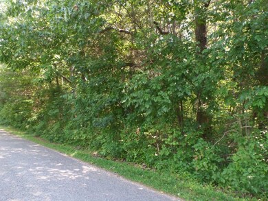 0 Jeremiah Rd, Cookeville, TN 38506 - photo 4