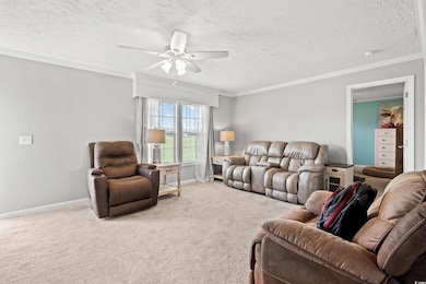 Living area featuring ceiling fan, a textured ceiling, carpet flooring, and ornamental molding