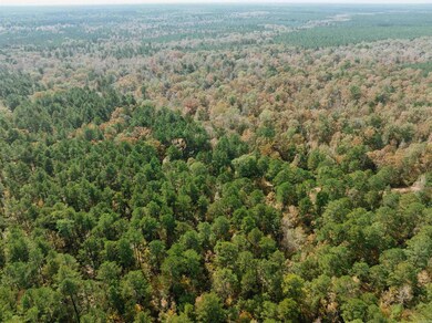 000 81 Rd, Tinsman, AR 71631 - photo 4