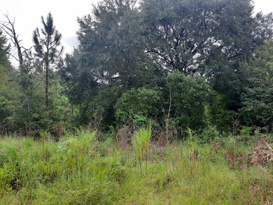 130 Honeysuckle Ln, Fitzgerald, GA 31750 - photo 3