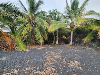 0 Mamalahoa Hwy unit 717210, Captain Cook, HI - photo 5