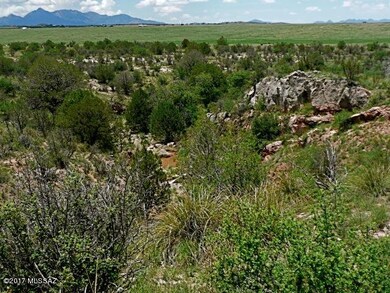 Canyon toward Santa Rita Mtns.