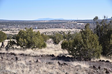 30219004b N Francis Ln, Ash Fork, AZ 86320 - photo 5
