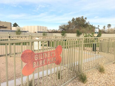 Bark Park