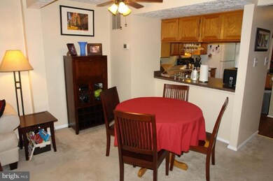 6004 Rowanberry Dr, Elkridge, MD 21075 - photo 6