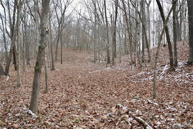 00 N Maysville Ln, Mount Vernon, IL 62864 - photo 4