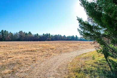 1504 Atom Rd, Lincoln, WI 54666 - photo 3