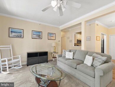 30611 Cedar Neck Rd unit 2204, Ocean View, DE 19970 - photo 5