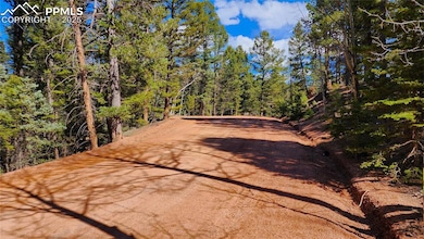 178 Gerka Ln, Florissant, CO 80816 - photo 4