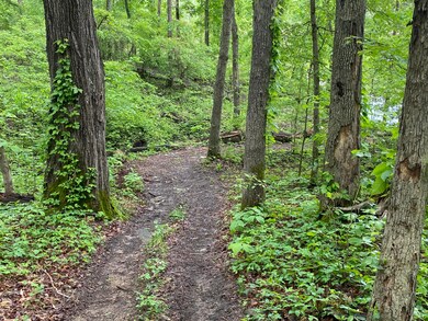 IMG-0913