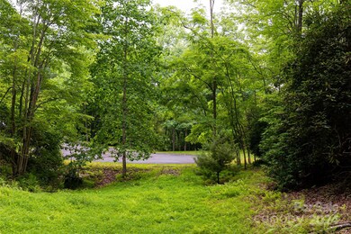 99999 Running Deer Trail unit 80, Mills River, NC 28742 - photo 7