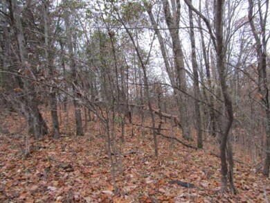 13ac Upper Crab Rd, Jamestown, TN 38556 - photo 6