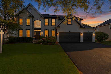 517 Meadowwood Ln unit 3, Oswego, IL 60543 - photo 2