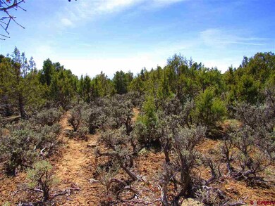 0 Uintah Rd unit 700701, Cedaredge, CO 81413 - photo 5