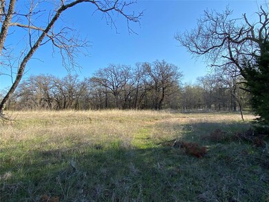308 N Saddle Spur Ct, Weatherford, TX 76088 - photo 5