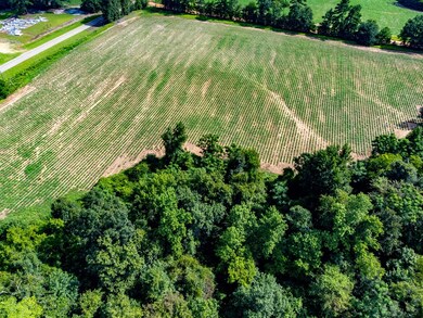 04 Adams Rd, Ashford, AL 36312 - photo 4