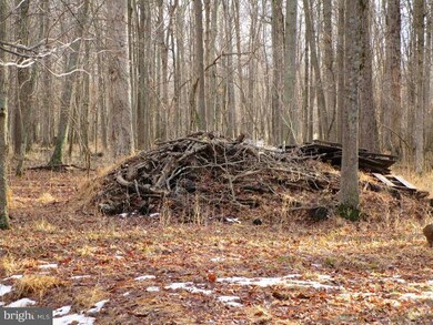 16506 Gaines Rd, Broad Run, VA 20137 - photo 7