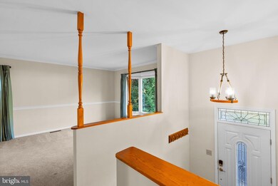 318 Cedar Ln, Annapolis, MD 21403 - photo 5