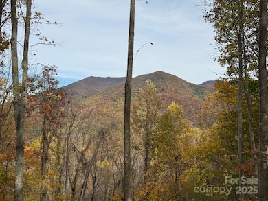 223 Flying Dutchman Rd, Sylva, NC 28779 - photo 2