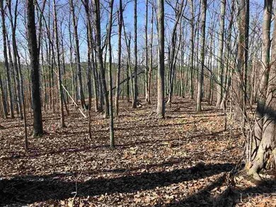 0 Norwood Rd unit 323358, Norwood, VA 24581 - photo 7