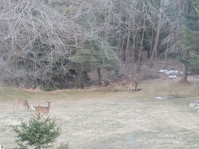 3100 W Main Rd, Twining, MI 48766 - photo 3