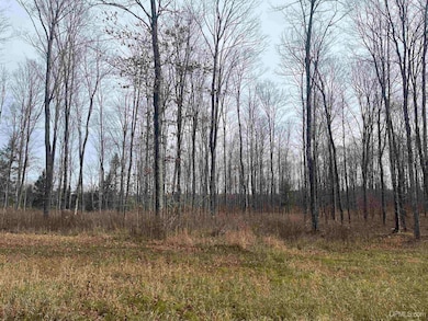 120 Acres Off County Sk Rd, Cornell, MI 49818 - photo 3