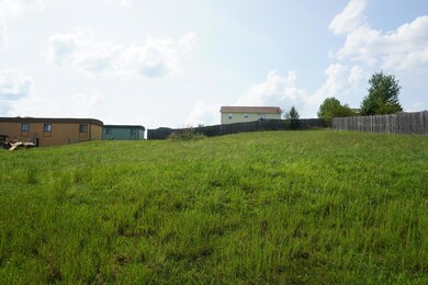 000 Jon Streeet, West Plains, MO 65775 - photo 4