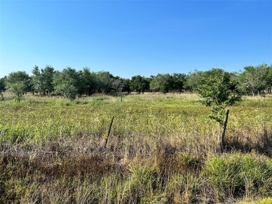 13404 Buls Rd, East Bernard, TX 77435 - photo 4