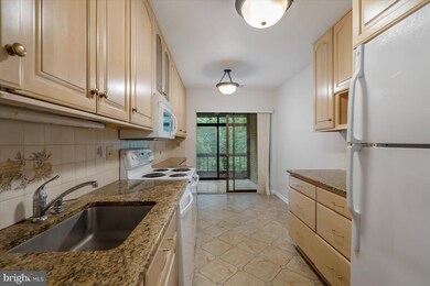 Heather Ridge unit 306, Baltimore, MD 21209 - photo 4