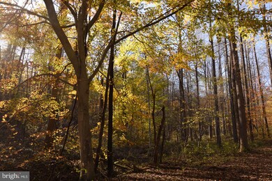 0 Bessie Bell Mountain Rd unit VARP107660, Castleton, VA 22716 - photo 4