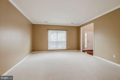 7105 Green Spring Ln, Alexandria, VA 22306 - photo 5