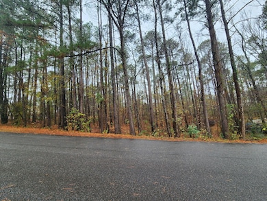 TBD Spring Haven Dr, North, SC 29860 - photo 4