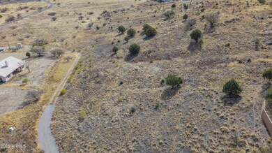 Lot 009P S One More Road -- unit 9P, Hereford, AZ 85615 - photo 7