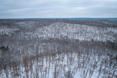 000 Click, Richwoods, MO 63071 - photo 3