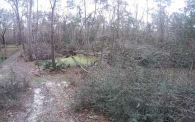 4092 Honeysuckle Cir, Middleburg, FL 32068 - photo 2