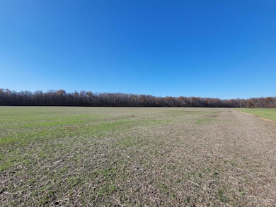15ac Landing Ln, Goshen Township, OH 45122 - photo 3