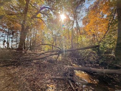 0 County Road 105, Hickory Ridge, AR 72347 - photo 2