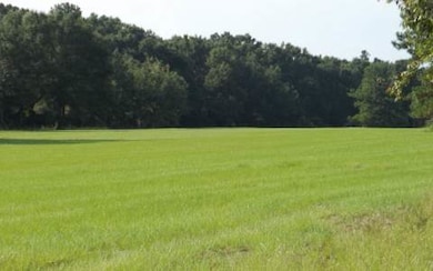 1839 SW Wilson Springs Rd, Fort White, FL 32038 - photo 3