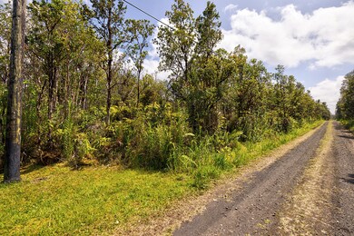 0 Alapua St unit 718244, Mountain View, HI 96771 - photo 4