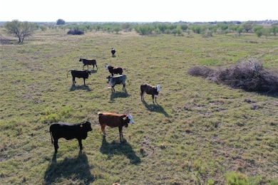 Tract 2 Tbd Jackson Rd, Bellville, TX 77418 - photo 3