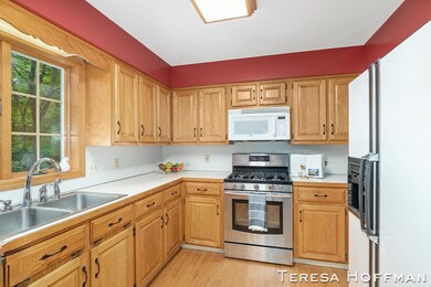 239 River Pine Dr, Lowell, MI 49331 - photo 6