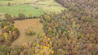 480 County Road 480, Poplar Bluff, MO 63901 - photo 4