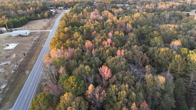 0 Alabama 95 unit 205947, Abbeville, AL 36310 - photo 4