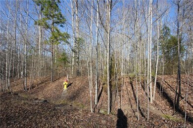 0000 Creekstone Ct, Lincolnton, NC 28092 - photo 2