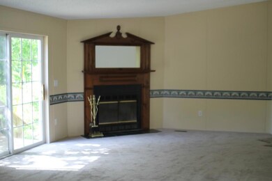 Woodburning Fireplace