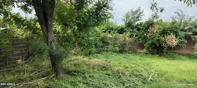 2810 N 29th Place, Phoenix, AZ 85008 - photo 7