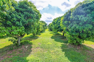 22220 SW 248th St, Homestead, FL 33031 - photo 4